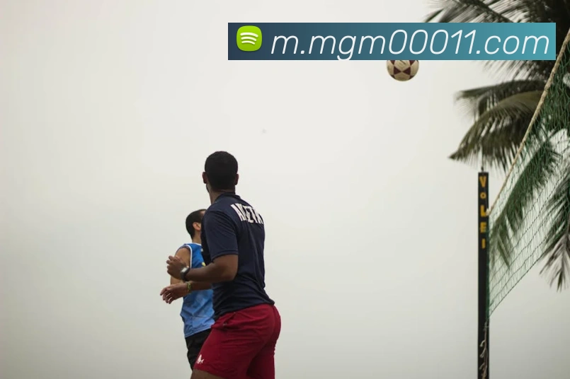 美高梅官网首页平台生态图